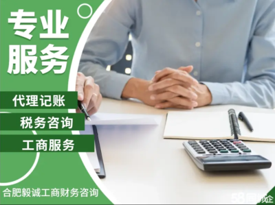 合肥財(cái)務(wù)會計(jì)/評估與財(cái)務(wù)咨詢 專業(yè)服務(wù)賦能企業(yè)發(fā)展